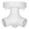 Bailey | Ceiling-/wall luminaire | LED replaceable | 60W No dimming function Bailey | Ceiling-/wall luminaire | LED replaceable | 60W No dimming function