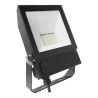 Bailey | LED Floodlight |  50W 