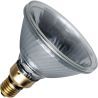SPL | Halogen Reflector bulb | Other | 120W