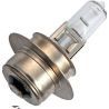 SPL | Halogen Halogen lamp - vehicle | P22s