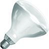 SPL |  IR lamp R-butt/reflector lamp | E27 | 375W