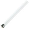 PHILIPS | Fluorescent Tube G5 | 8W PHILIPS | Fluorescent Tube G5 | 8W