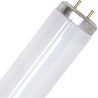 SPL | fluorescent tube | G13 Fitting | T12 | 20W | Blacklight UV insect lamp | 59cm