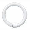 T9 Circline | 30W | G10Q | 840 Cool White
