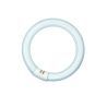 T9 Circline | 32W | G10Q | 830 Warm White