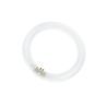 T9 Circline | 40W | G10Q | 840 Cool White T9 Circline | 40W | G10Q | 840 Cool White