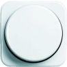 BJ cover plate with rotary switch white