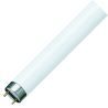 Philips MASTER TL - D Super 80 18W - 830 Warm-White | 60cm