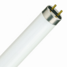T8 Lumilux 36W - 865 Daylight | 120cm