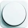 BJ cover plate with rotary switch white