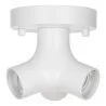 Bailey | Ceiling-/wall luminaire | LED replaceable | 60W No dimming function