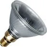 SPL | Halogen Reflector bulb | Other | 120W