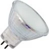 SPL | Halogen Spot | GU4 | 20W