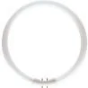PHILIPS | Ring 2GX13 | 23W