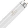 SPL | fluorescent tube | G13 Fitting | T8 | 10W | Blacklight UV insect lamp | 33cm