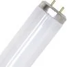 SPL | fluorescent tube | G13 Fitting | T12 | 20W | Blacklight UV insect lamp | 59cm
