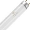 SPL | fluorescent tube | G13 Fitting | T8 | 15W | Blacklight UV insect lamp | 44cm