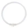 T5 Circline | 32W | 2GX13 fitting | 830 Warm White | 4-Pin | Φ300MM