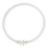 MASTER TL5C Circular 32W - 840 Cool White | 30cm