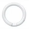T9 Circline | 30W | G10Q | 830 Warm White