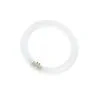 T9 Circline | 22W | G10Q | 840 Cool White
