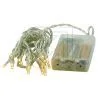 EGB LED strand 20 Christmas lights with timer on batteries for indoors