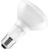 Incandescent Reflector Bulb R95 | E27 Dimmable | 105W 95mm Frosted