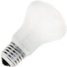 Incandescent Ligh Bulb Mushroom | E27 | 100W