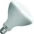 SPL |  IR lamp R-butt/reflector lamp | E27 | 250W